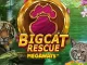 Big Cat Rescue Megaways Review