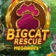 Big Cat Rescue Megaways Review