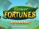 flower fortunes megaways review